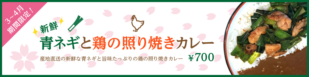 新鮮青ネギと鶏の照り焼きカレー~banner 新鮮青ネギと鶏の照り焼きカレー~banner